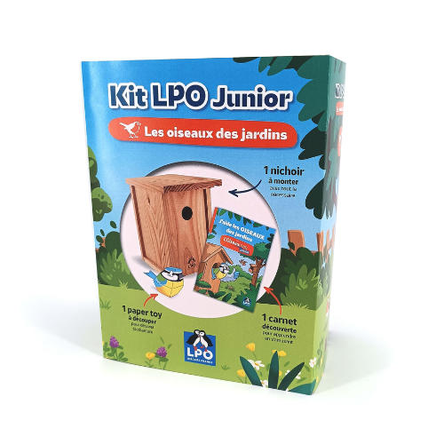 kit-lpo-junior